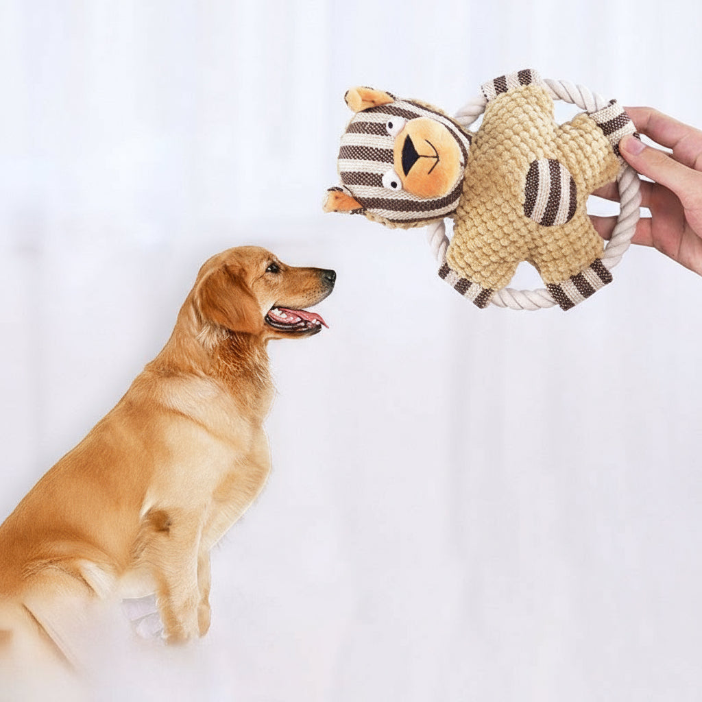 Durable Cotton Tug & Molar Toy for Dogs by MittensMarket™