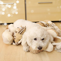 Durable Cotton Tug & Molar Toy for Dogs by MittensMarket™