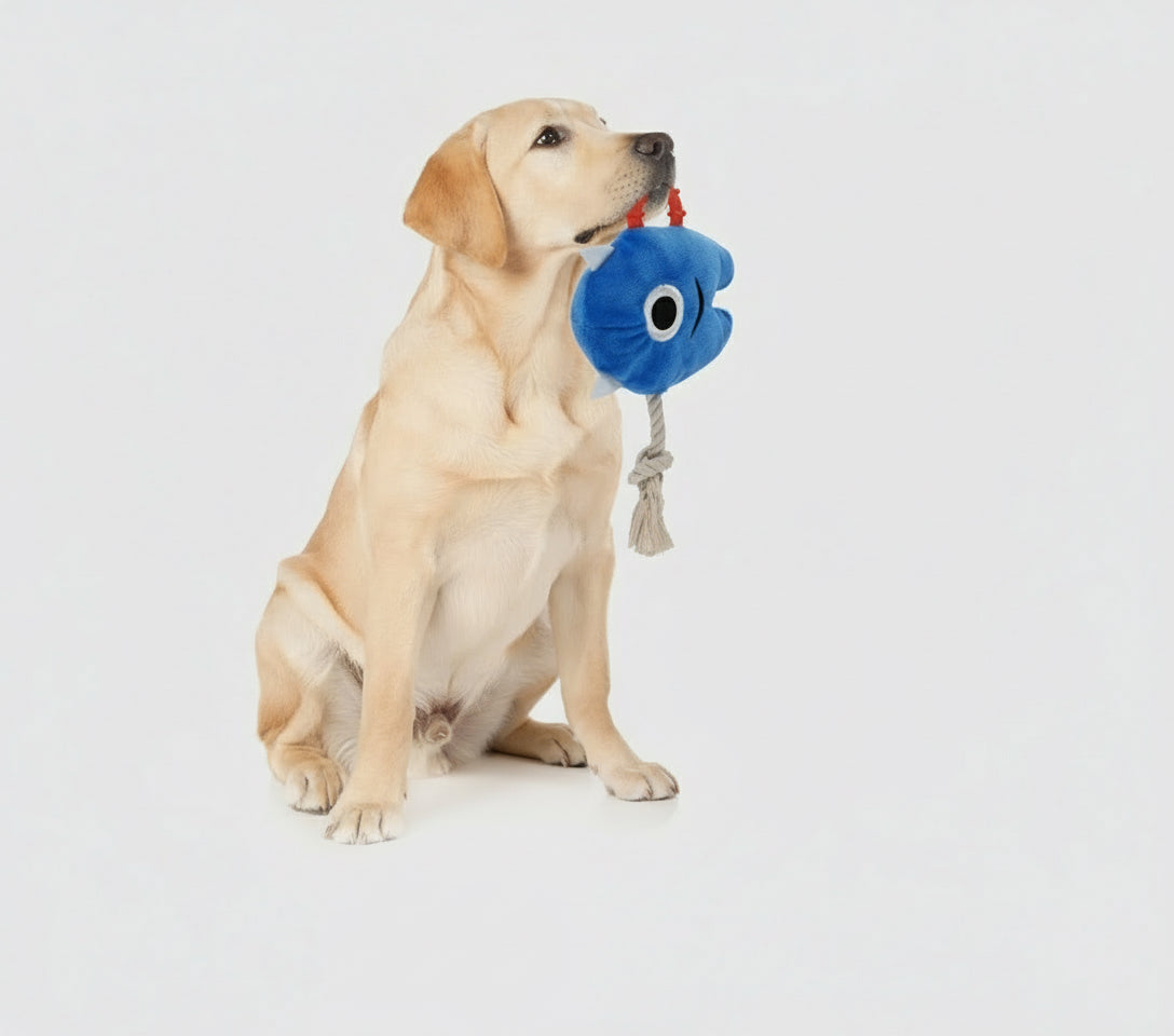 Squeaky Plush Chew Toy for Tough Dogs by MittensMarket™