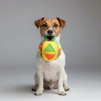 Squeaky Snuffle Ball for Dogs by MittensMarket™